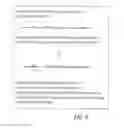 Fig. 10 - Polynucleotide mapping and sequencing