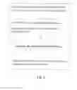Fig. 12 - Polynucleotide mapping and sequencing