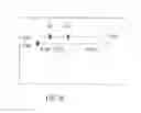 Fig. 13 - Polynucleotide mapping and sequencing