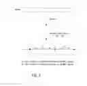 Fig. 17 - Polynucleotide mapping and sequencing