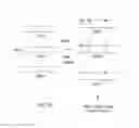 Fig. 18 - Polynucleotide mapping and sequencing
