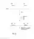 Fig. 19 - Polynucleotide mapping and sequencing