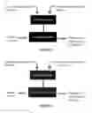 Fig. 37 - Methods and processes for calling bases in sequence by incorporation methods