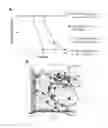 Fig. 08 - Biomarkers for the molecular classification of bacterial infection