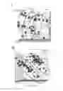 Fig. 09 - Biomarkers for the molecular classification of bacterial infection