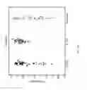 Fig. 27 - Biomarkers for the molecular classification of bacterial infection