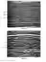 Fig. 09 - ENGINEERED LEATHER AND METHODS OF MANUFACTURE THEREOF