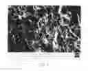 Fig. 04 - Method of exfoliating and functionalizing graphite anode