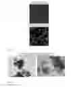 Fig. 10 - ENHANCED CONDUCTIVITY METAL-CHALCOGENIDE FILMS VIA POST ELECROPHORETIC DEPOSITION (EPD) TREATMENT