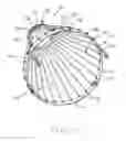 Fig. 03 - Protective device for a culvert pipe