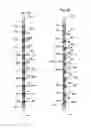Fig. 09 - Method and apparatus for construction when vertical and horizontal members are used