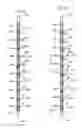 Fig. 09 - METHOD AND APPARATUS FOR CONSTRUCTING AND REPAIRING FENCE OR RAILINGS