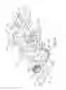 Fig. 10 - Hinge device