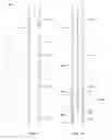 Fig. 02 - Method for remediating a screen-out during well completion