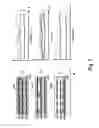 Fig. 08 - Multi-phase fluid flow profile measurement