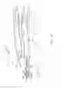 Fig. 03 - Anti-ice splitter nose