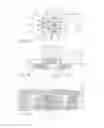 Fig. 03 - Nozzle plate for fuel injection device