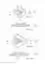 Fig. 24 - Nozzle plate for fuel injection device