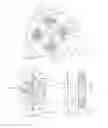 Fig. 30 - Nozzle plate for fuel injection device