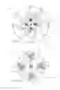 Fig. 34 - Nozzle plate for fuel injection device