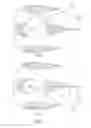 Fig. 05 - Windraider