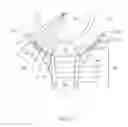 Fig. 22 - Windraider