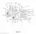 Fig. 24 - Windraider