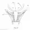 Fig. 25 - Windraider