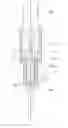 Fig. 01 - HIGH-VISCOSITY LIQUID FEEDING BOOSTER PUMP