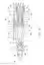 Fig. 14 - Air compressor