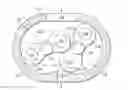 Fig. 01 - Vacuum pump rotor for a vacuum pump having a roots pumping mechanism