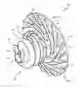 Fig. 01 - Impeller for engine-mounted boost stage fuel pump