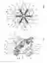 Fig. 02 - Coupling device, in particular for industrial applications