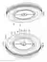 Fig. 06 - Fan clutch