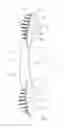 Fig. 06 - Tensioning or guide rail with opening