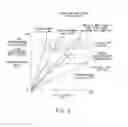 Fig. 04 - Transmission and control method of transmission