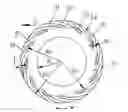 Fig. 01 - Self-pumping hydrodynamic mechanical seal
