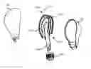Fig. 01 - Illumination device with folded light source carrier and method of assembly