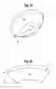 Fig. 13 - Lighting device with central and peripheral illumination