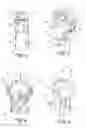 Fig. 03 - LED night light has projection or image feature