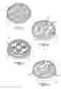 Fig. 05 - LED night light has projection or image feature