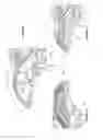 Fig. 07 - Automotive lighting device with signaling function