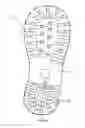 Fig. 01 - Firefighter's Emergency Boot Light