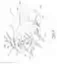 Fig. 04 - Fuel nozzle