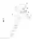 Fig. 04 - Cooking appliance