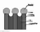 Fig. 01 - Heterogeneous surfaces