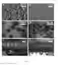 Fig. 11 - Heterogeneous surfaces