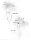 Fig. 07 - Tactical accessory attachment system