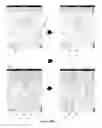 Fig. 19 - Encoded representation of route data