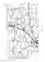 Fig. 10 - Systems and methods for generating electronic map displays with points-of-interest information based on reference locations